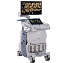 Аппарат УЗИ (сканер) GE Healthcare Voluson E8 RSA